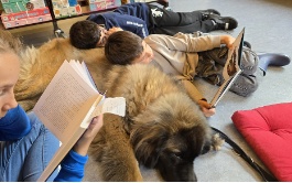 lesehund ch 120