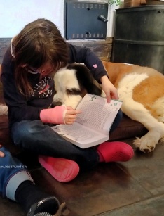 Lesehund ch 105